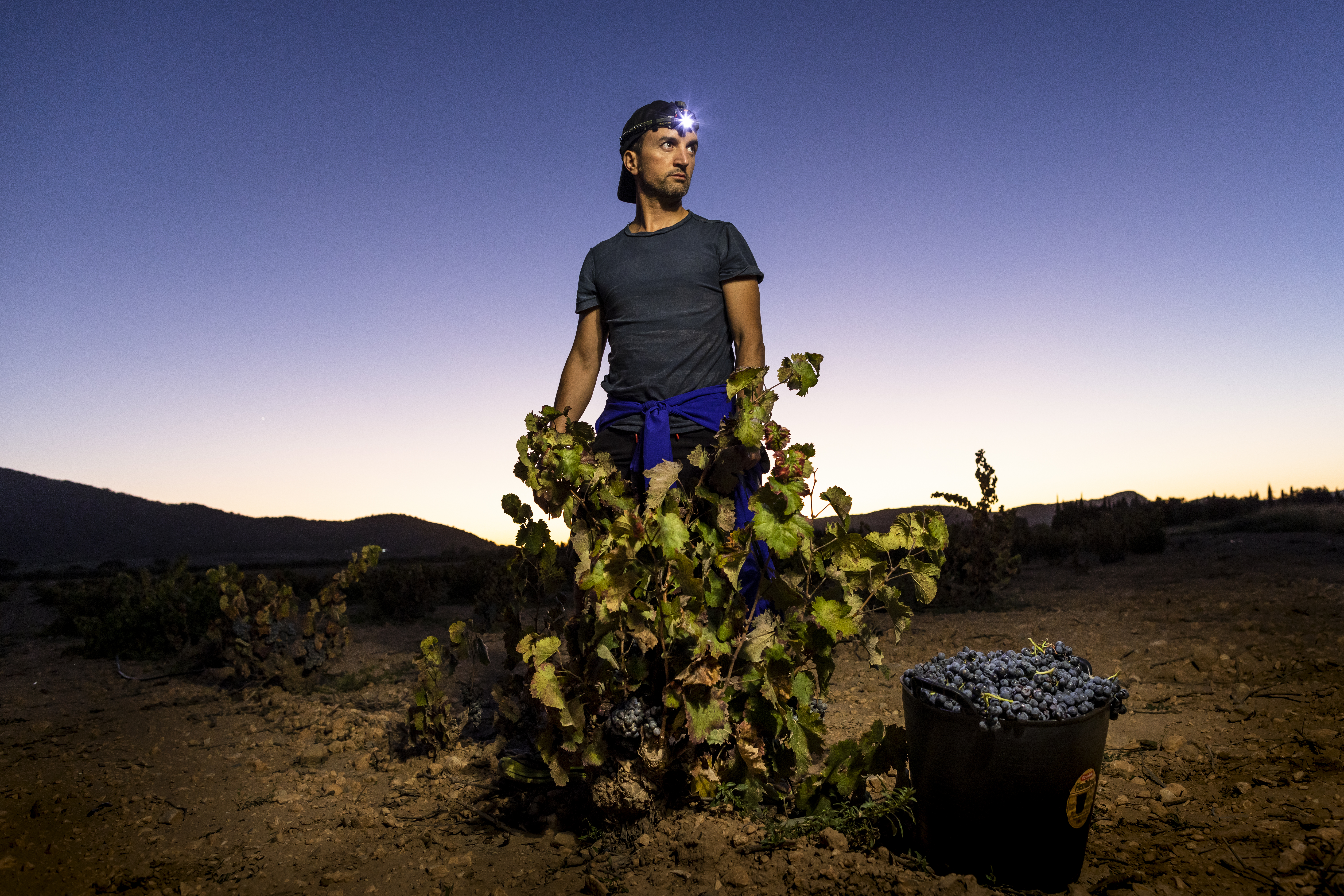 3rd_Errazuriz - People_Juan Miguel Ortuño_ The Last Lights in the Vineyard_Hi-Res.jpg